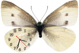 Часы "Бабочка белая"