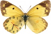 Часы "Бабочка желтая"