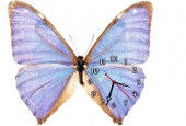 Часы "Бабочка нейлоновая"
