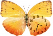 Часы "Бабочка яркая"