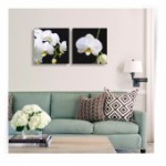 Картина диптих "Белая орхидея"