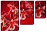 Модульная картина "Красная орхидея"
