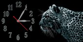 Часы "Белый тигр"