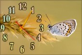 Часы Белая бабочка"