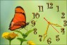Часы "Оранжевая бабочка"